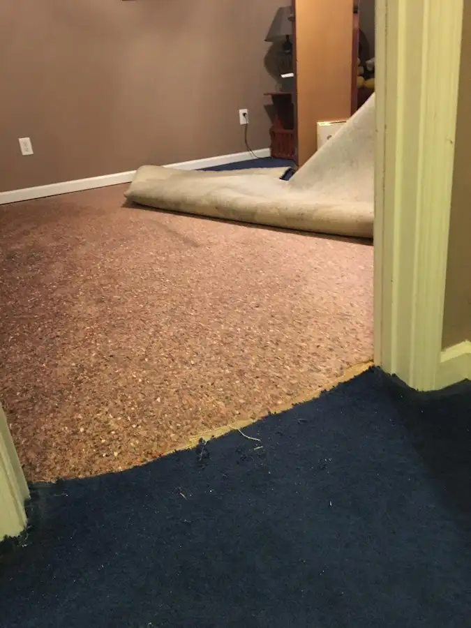 Carpet pad removal revealing water damage during Drying & Dehumidification in Anchorage