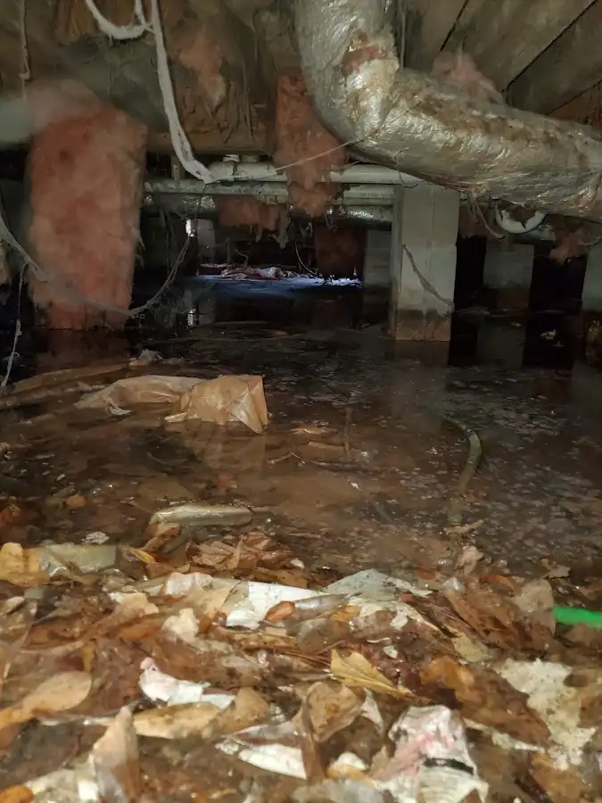 Crawl space flood assessment for Leak Detection & Repair in Anchorage